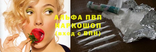 ECSTASY Пересвет