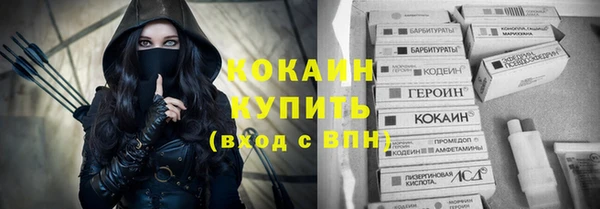 ECSTASY Пересвет