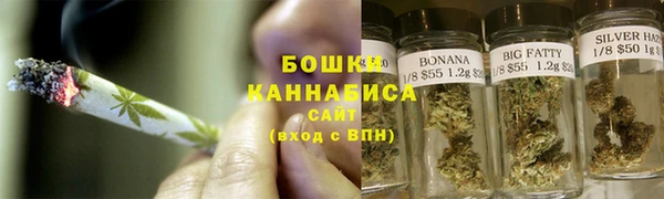 дурь Пестово