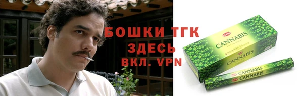 ECSTASY Пересвет