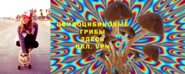 ECSTASY Пересвет
