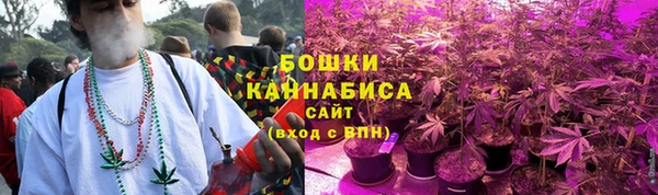 прущие крисы Осташков