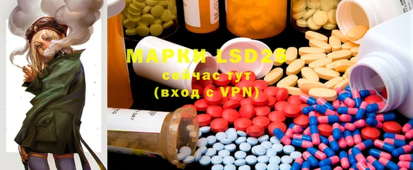 ECSTASY Пересвет