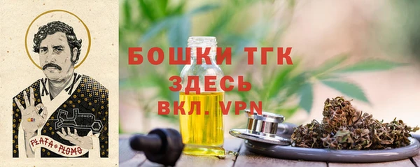 дурь Пестово